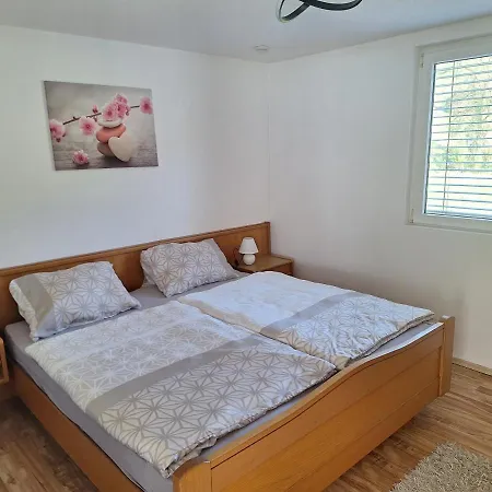 Rheintal Im Alpenvorland *