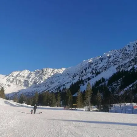 Rheintal Im Alpenvorland