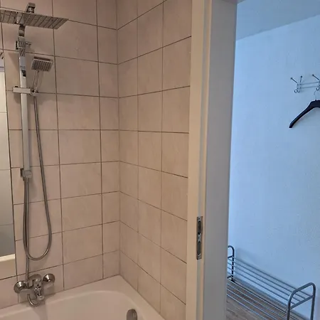 Rheintal Im Alpenvorland