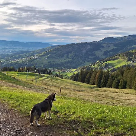 Rheintal Im Alpenvorland Apartmán *