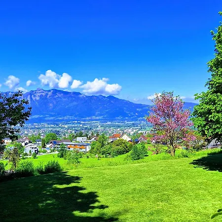 Rheintal Im Alpenvorland Batschuns