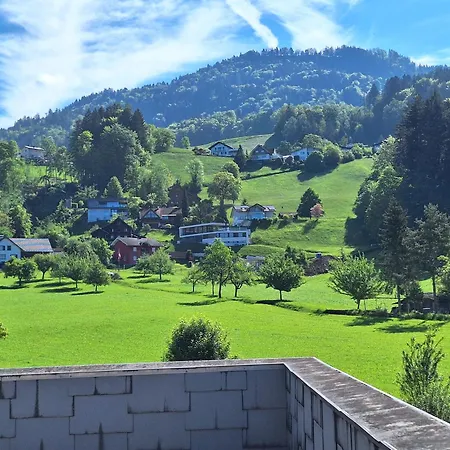 Rheintal Im Alpenvorland